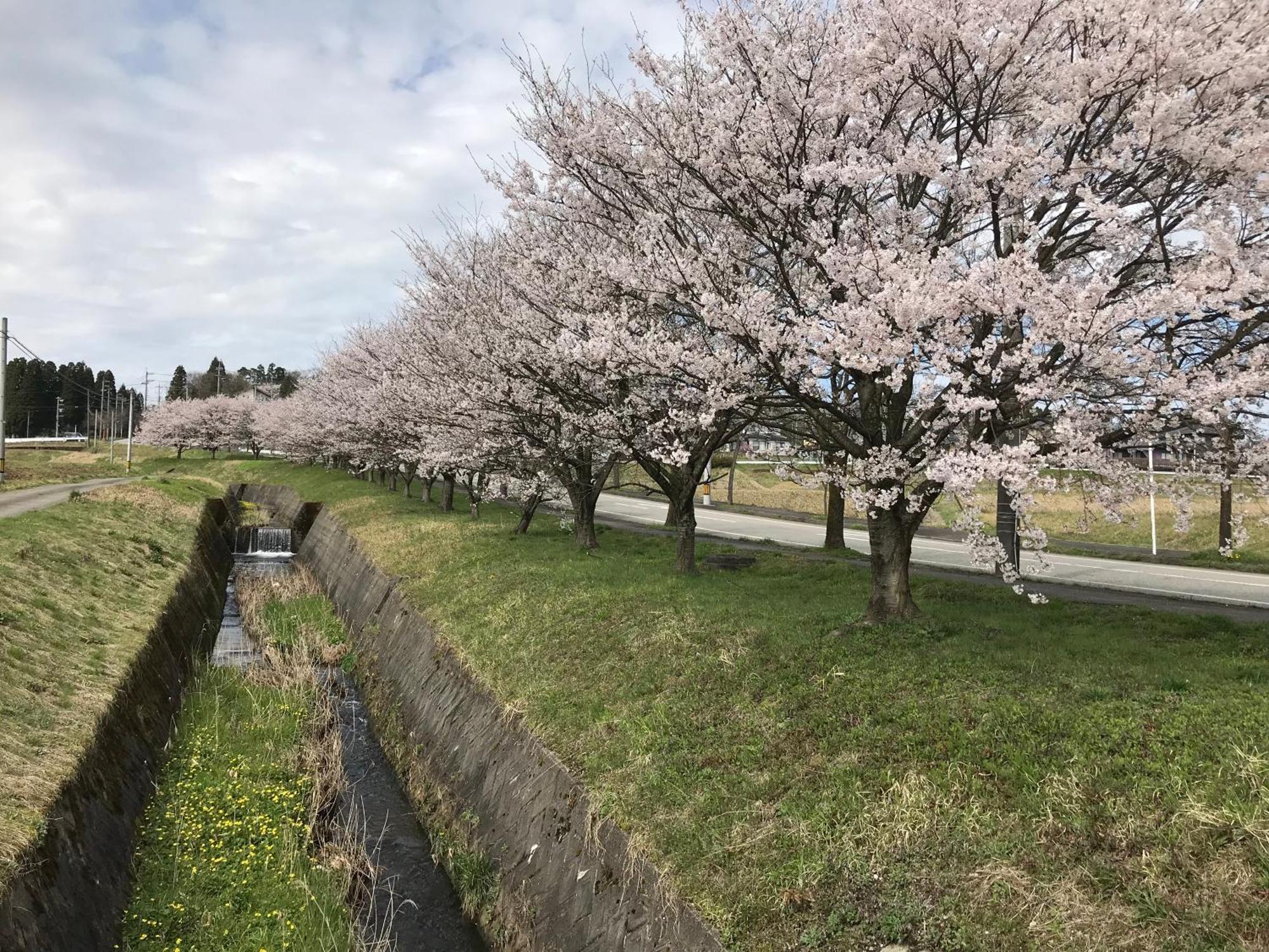 ヨーコのお宿 わくわく Toyama Luaran gambar